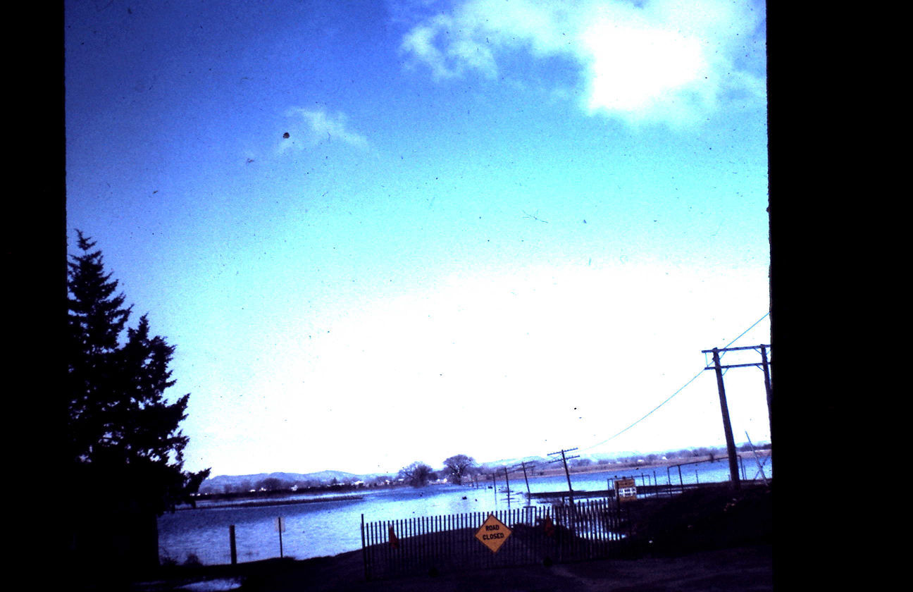 Pieces of the Past - 1965 Flood